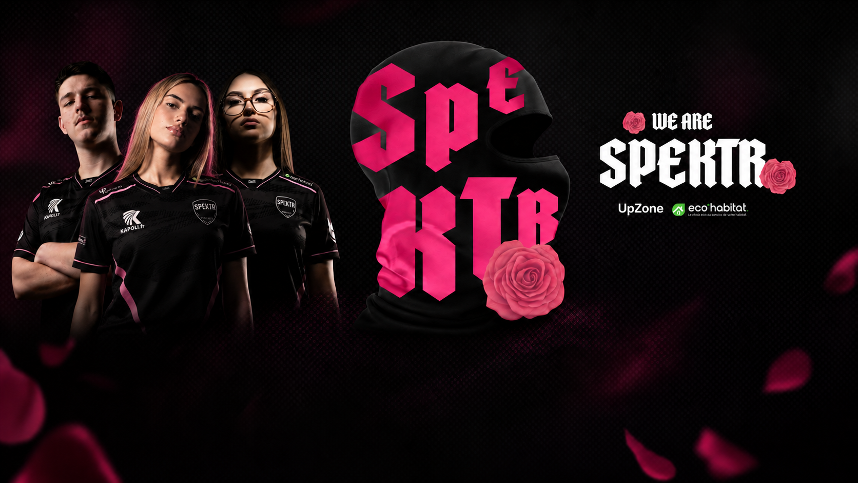 Banniere Spektr rose et noire avec joueurs